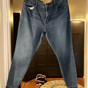 Old Navy Deep Blue Fleece Lined Jeans